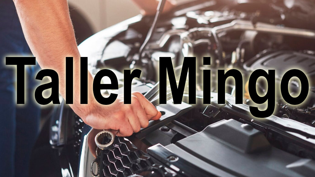 Imagen de la galería